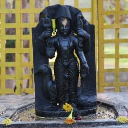 <p><strong>சனி பகவான் இந்து மதத்தில் நீதியின் தெய்வமாக வழிபடப்படுகிறார். அவர் ஒருவரின் செயல்களின் அடிப்படையில் பலனையும் தண்டனையையும் வழங்குகிறார். ஜோதிட சாஸ்திரத்தில் ஏழரை சனியும், அஷ்டம சனியும் மிகவும் முக்கியத்துவம் வாய்ந்தவை. சனி பகவானின் அருளைப் பெறவும், அவரது கோபத்திலிருந்து தப்பிக்கவும் எண்ணெய், கருப்பு எள், கருப்பு ஆடைகள் மற்றும் நீல நிற மலர்கள் காணிக்கையாகச் செலுத்தப்படுகின்றன. இவற்றில் கடுகு எண்ணெய் மிகவும் முக்கியமானது.</strong></p>