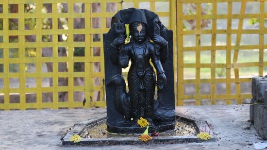 சனி பகவான் இந்து மதத்தில் நீதியின் தெய்வமாக வழிபடப்படுகிறார். அவர் ஒருவரின் செயல்களின் அடிப்படையில் பலனையும் தண்டனையையும் வழங்குகிறார். ஜோதிட சாஸ்திரத்தில் ஏழரை சனியும், அஷ்டம சனியும் மிகவும் முக்கியத்துவம் வாய்ந்தவை. சனி பகவானின் அருளைப் பெறவும், அவரது கோபத்திலிருந்து தப்பிக்கவும் எண்ணெய், கருப்பு எள், கருப்பு ஆடைகள் மற்றும் நீல நிற மலர்கள் காணிக்கையாகச் செலுத்தப்படுகின்றன. இவற்றில் கடுகு எண்ணெய் மிகவும் முக்கியமானது.