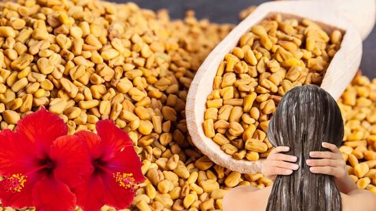 முடி உதிர்தல் பிரச்சனையா? வீட்டிலேயே செய்யக்கூடிய செம்பருத்தி மற்றும் வெந்தய ஹேர் மாஸ்க் பயன்படுத்தலாம்! முடி உதிர்தல் பிரச்சனையா? வீட்டிலேயே செய்யக்கூடிய செம்பருத்தி மற்றும் வெந்தய ஹேர் மாஸ்க் பயன்படுத்தலாம்!