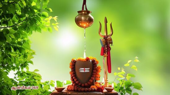 தாரா அபிஷேகம்.. அக்னியில் சிவபெருமான்.. அக்னி நட்சத்திரம்.. குளிர்ச்சியாகும் அண்ணாமலையார்! தாரா அபிஷேகம்.. அக்னியில் சிவபெருமான்.. அக்னி நட்சத்திரம்.. குளிர்ச்சியாகும் அண்ணாமலையார்!