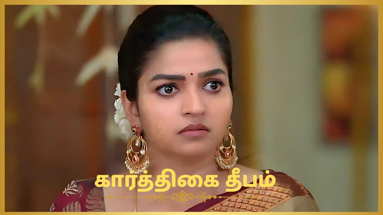 கார்த்திகை தீபம் சீரியல் மே 28 எபிசோட்: தண்ணீர் தொட்டிக்குள் அடைக்கப்படும் ரேவதி..காப்பாற்ற போராடும் கார்த்திக்!