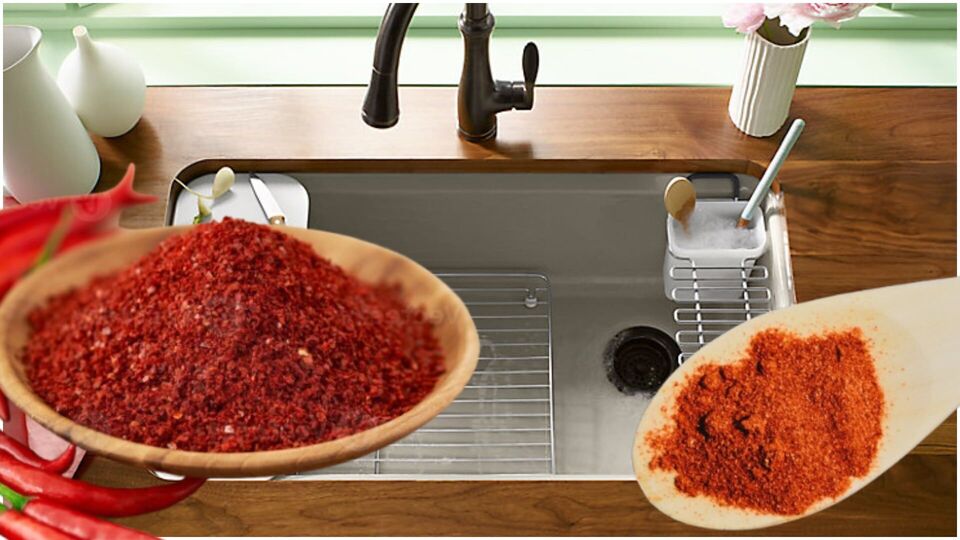 சமையலறை சிங்க்கில் மிளகாய் பொடியை தூவினால் என்ன நடக்கும் தெரியுமா? அற்புதமான நன்மைகள் இதோ