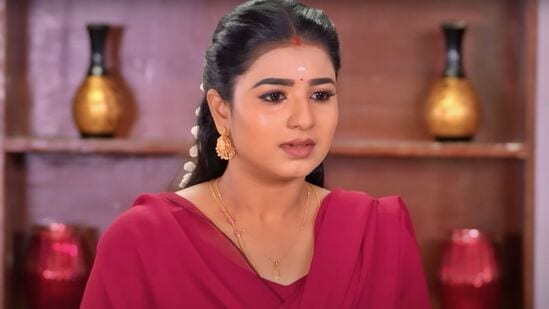 கார்த்திகை தீபம் சீரியல் ஜூன் 5 எபிசோட்: ரேவதிக்கு வரும் அட்வைஸ்.. துளிர்விடும் காதல்.. கார்த்திகை தீபம் சீரியல்