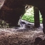 உங்க காசும் வேணாம்.. கல்யாணமும் வேணாம்.. குகைக்குள் குடும்பம் நடத்த விபரீத முடிவெடுத்த இளைஞர்!