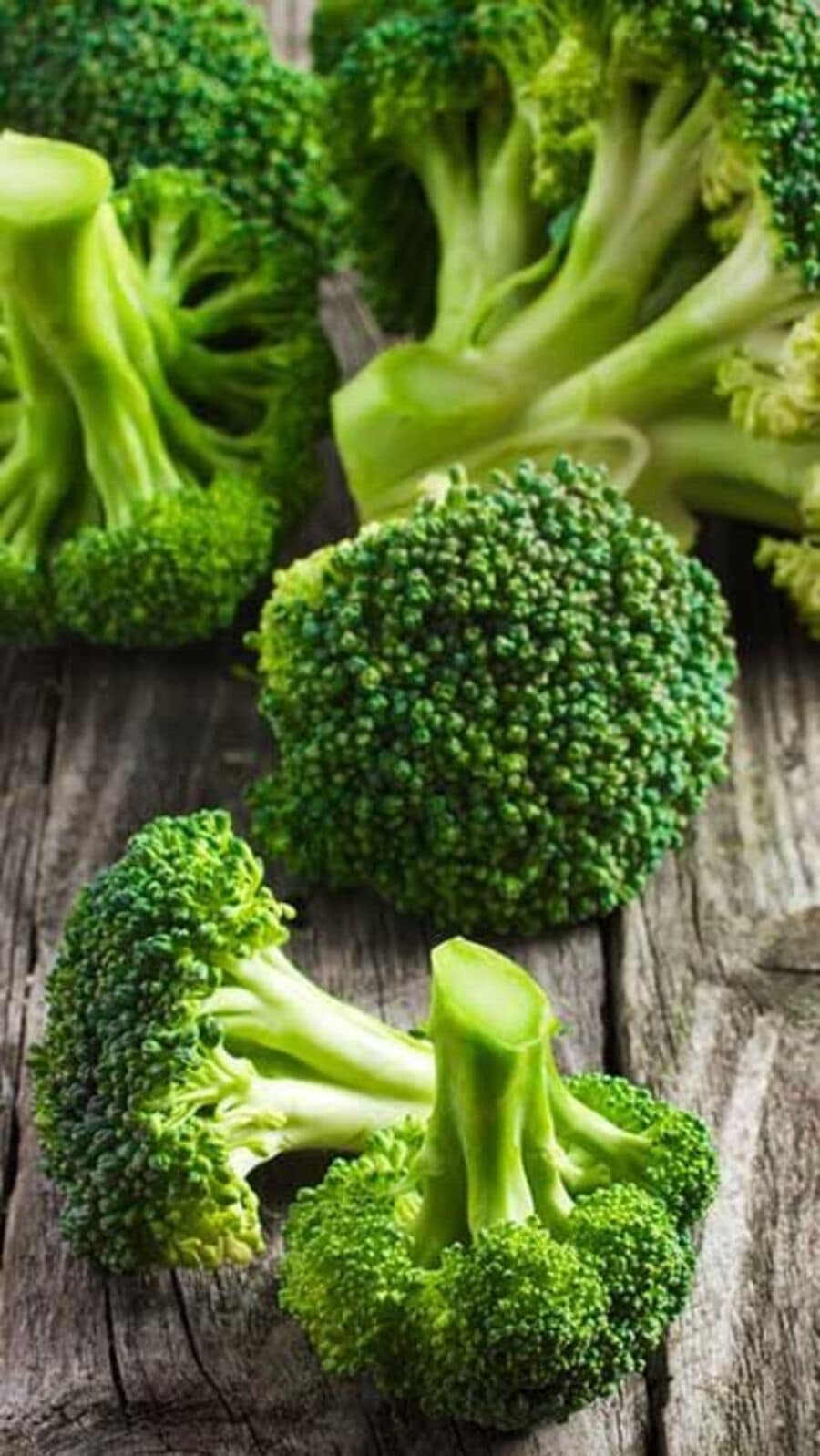 நோய் எதிர்ப்பு சக்தியை அதிகரிக்கணுமா.. ப்ரோக்கோலியைப் பற்றி தெரிஞ்சுக்கோங்க!