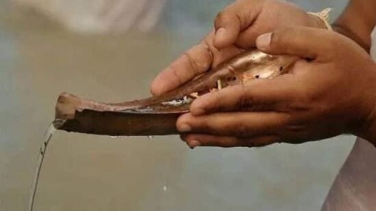 ஆஷாட அமாவாசை நாளில், முன்னோர்களுக்கு தர்ப்பணம், சிரார்த்தம், தானம் செய்யுங்கள். பிராமண போஜனம் ஏற்பாடு செய்யுங்கள் மற்றும் ஏழைகளுக்கு தானம் செய்யுங்கள். நாய், பசு, காகம், எறும்புகளுக்கும் உணவு வையுங்கள். மீன்களுக்கு மாவு உருண்டைகளை கொடுங்கள்.