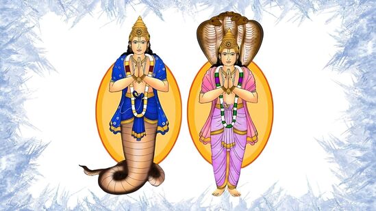 ராகு பெயர்ச்சி வேற லெவல்.. பண மழை கொட்டி தீர்க்கும் ராசிகள்.. சூப்பரான வாழ்க்கை! ராகு பெயர்ச்சி வேற லெவல்.. பண மழை கொட்டி தீர்க்கும் ராசிகள்.. சூப்பரான வாழ்க்கை!