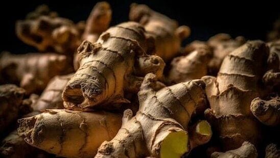 தினமும் காலையில் வெறும் வயிற்றில் இஞ்சி சாறு குடிப்பது செரிமானத்தை மேம்படுத்துகிறது. நெஞ்செரிச்சலுக்கு சிகிச்சையளிக்கவும் இஞ்சி உதவுகிறது.