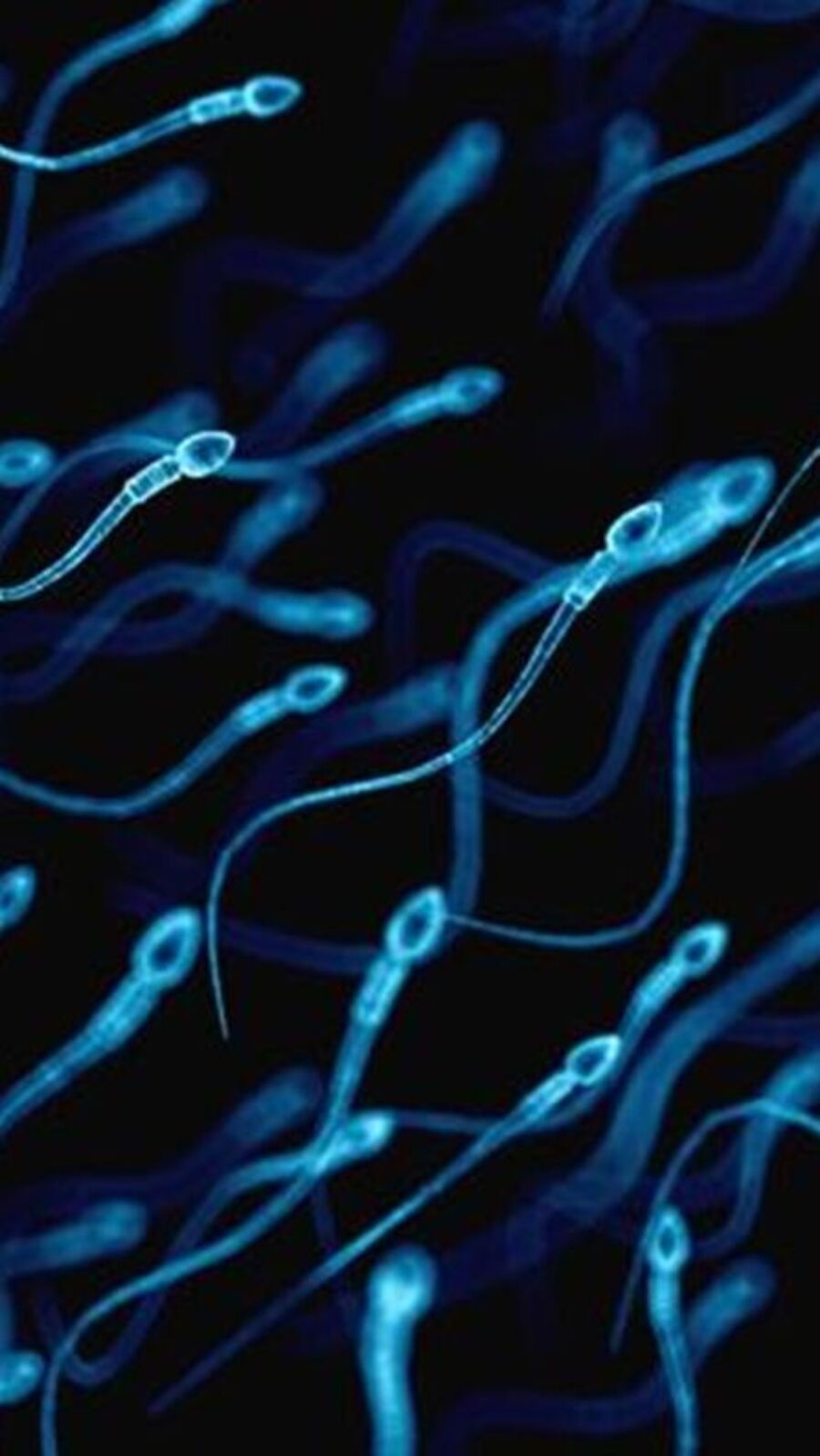 ஆண்களின் விந்தணுக்களை பாதிக்கும் உணவுகள் பற்றி தெரியுமா?