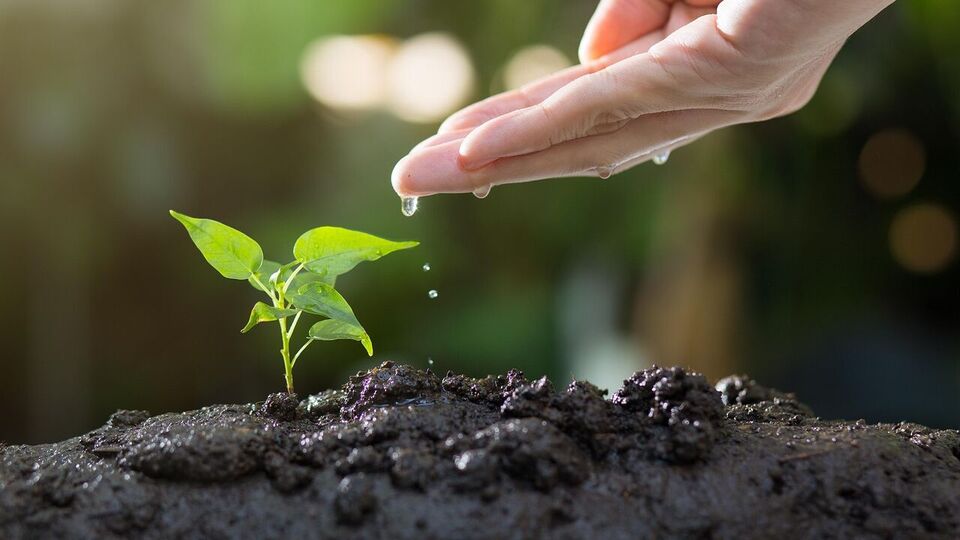 மிக மோசமான சூழலில் தமிழகத்தின் மண் வளம்.. நாம் என்ன செய்ய வேண்டும்.. மருத்துவர் வீ.புகழேந்தி சொல்வது என்ன?