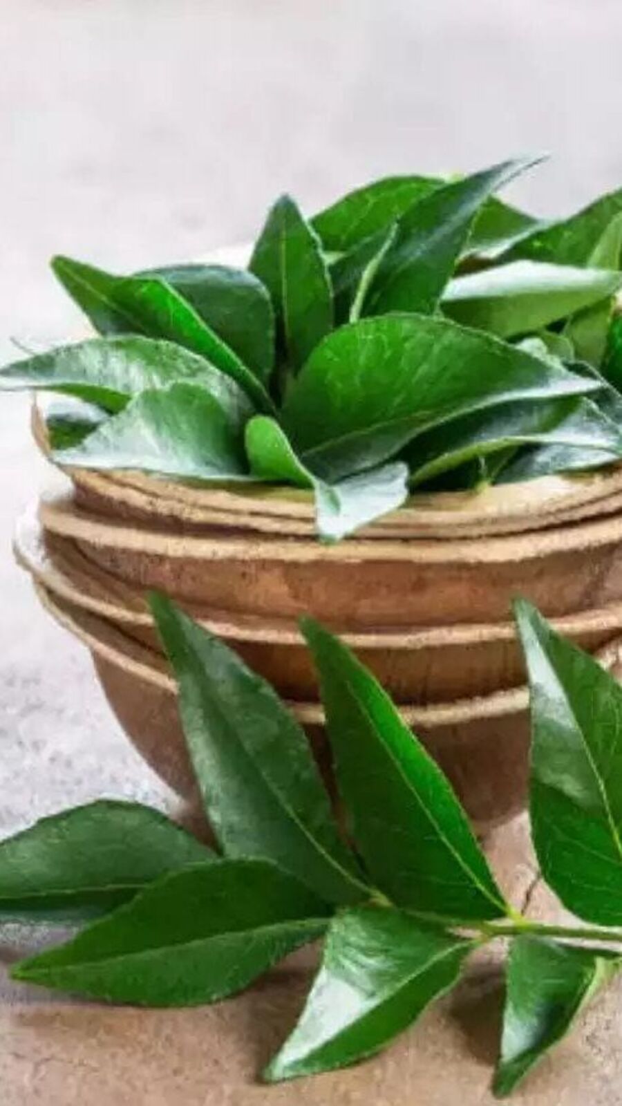 காலையில் கறிவேப்பிலை தண்ணீர் குடிப்பதால் கிடைக்கும் நன்மைகள் இதோ!