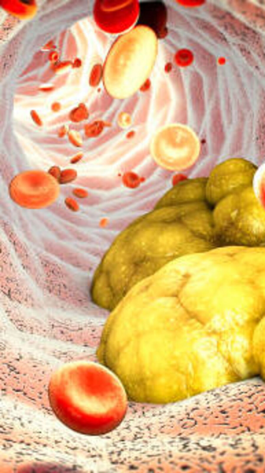 கெட்ட கொழுப்பைக் குறைக்கும் கொட்டைகள்