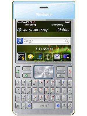 Spice Blueberry Blade