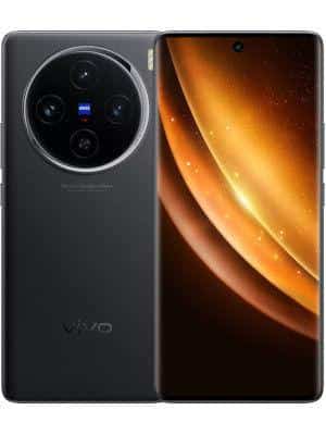 Vivo X100