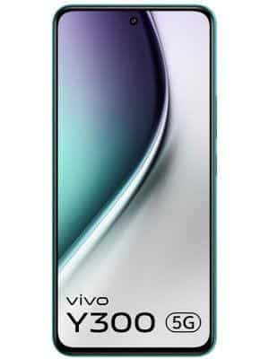 Vivo Y300
