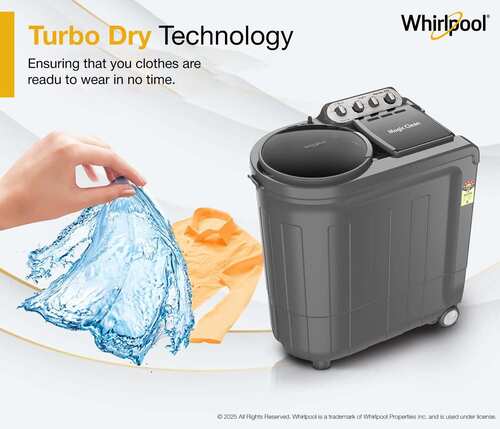 Whirlpool 8 kg Washing Machine Semi Automatic Top Load for Everyday Indian Homes