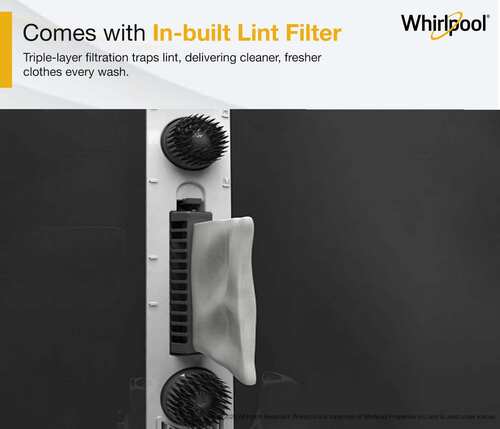 Whirlpool 8 kg Washing Machine Semi Automatic Top Loading for Efficient Laundry