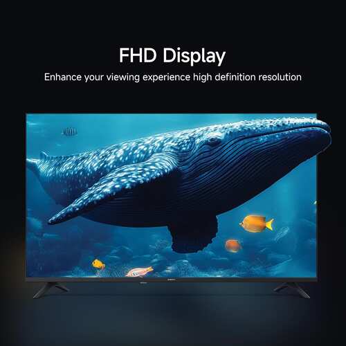 Xiaomi 32 inch HD Ready Smart Google TV L32MB AIN