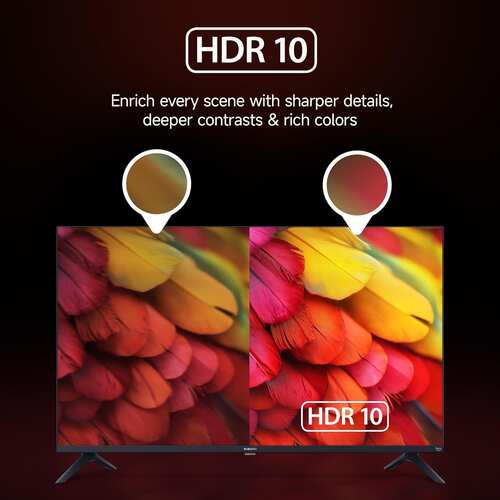 Xiaomi 43 inch 4K Ultra HD Smart Google TV L43MB FIN