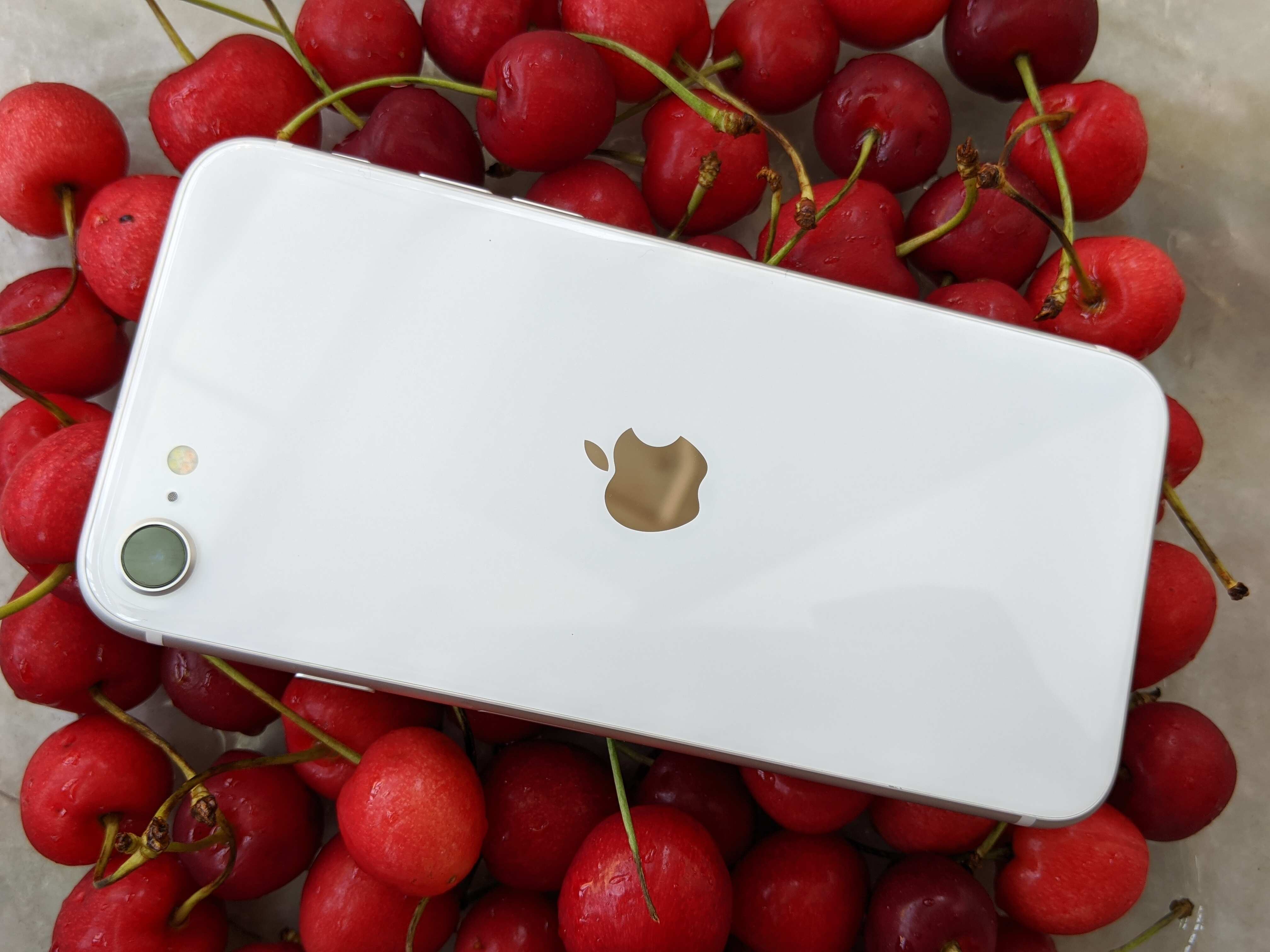 Coming to freebies, you can get up to 25 percent off on PharmEasy and you can add Bitcoin worth Rs. 201 to your portfolio as part of the iPhone SE 2020 price cut deal. iPhone SE