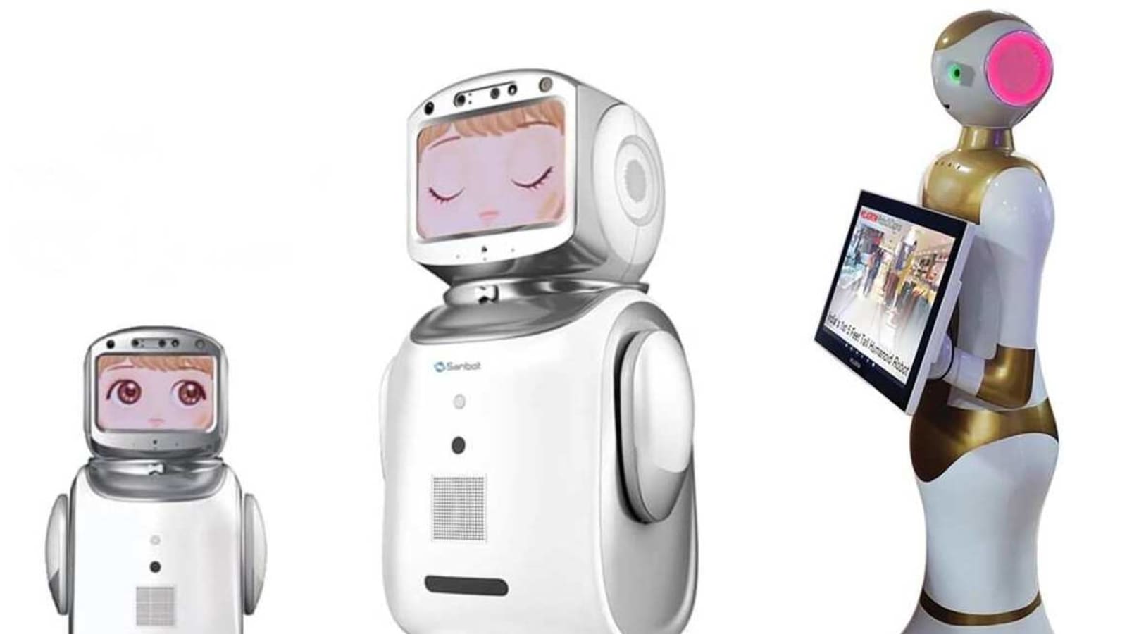 Made in India RoboDiCaprio, RoboJulia, RoboNano, RoboElf humanoid