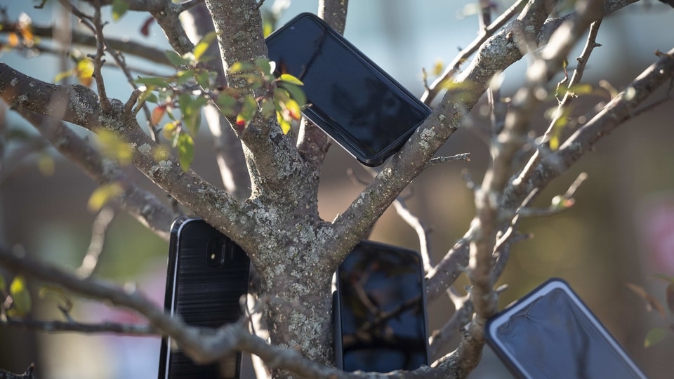 Mobile devices in a tree outside of a Whole Foods store in Evanston, Illinois, U.S., on Saturday, Aug. 29, 2020. A strange phenomenon has emerged near Amazon.com Inc. delivery stations and Whole Foods stores in the Chicago suburbs: smartphones dangling from trees. Contract delivery drivers are putting them there to get a jump on rivals seeking orders, according to people familiar with the matter. Photographer: Christopher Dilts/Bloomberg