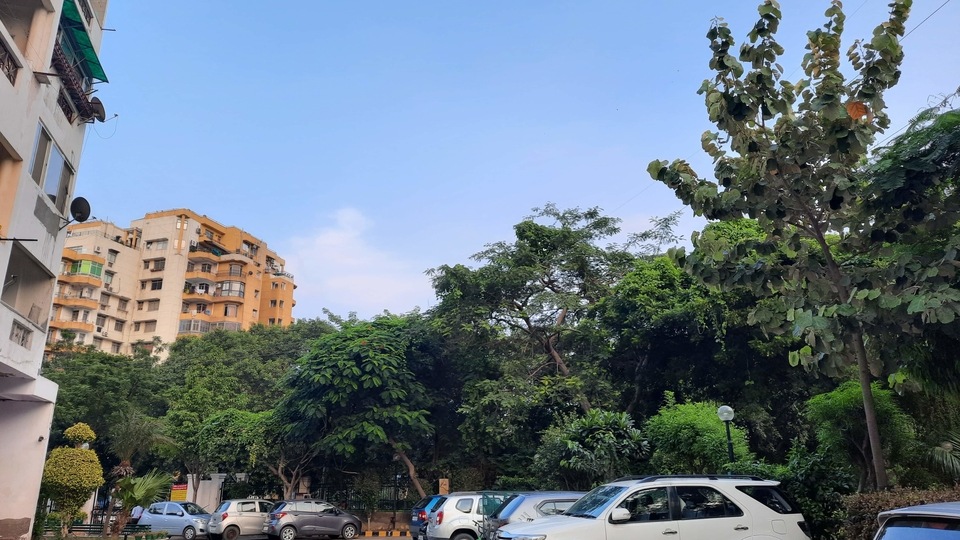 Samsung Galaxy M31s camera sample.