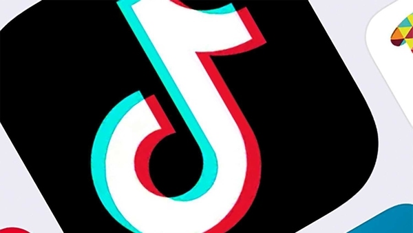 TikTok, which began as a place where teens lip-sync to music, has become a forum for political protest including the Black Lives Matter movement, said Fergus Ryan, one of the authors.