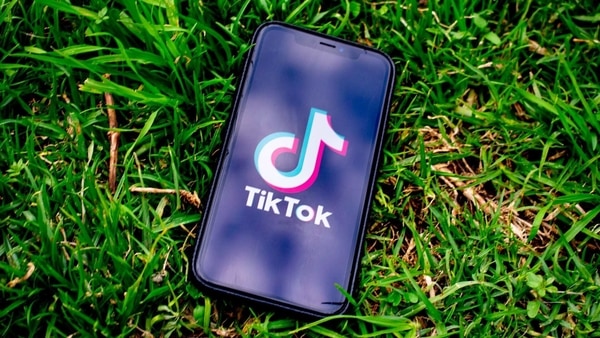 TikTok has grown prodigiously as more people seek entertainment during lockdowns triggered by the coronavirus.