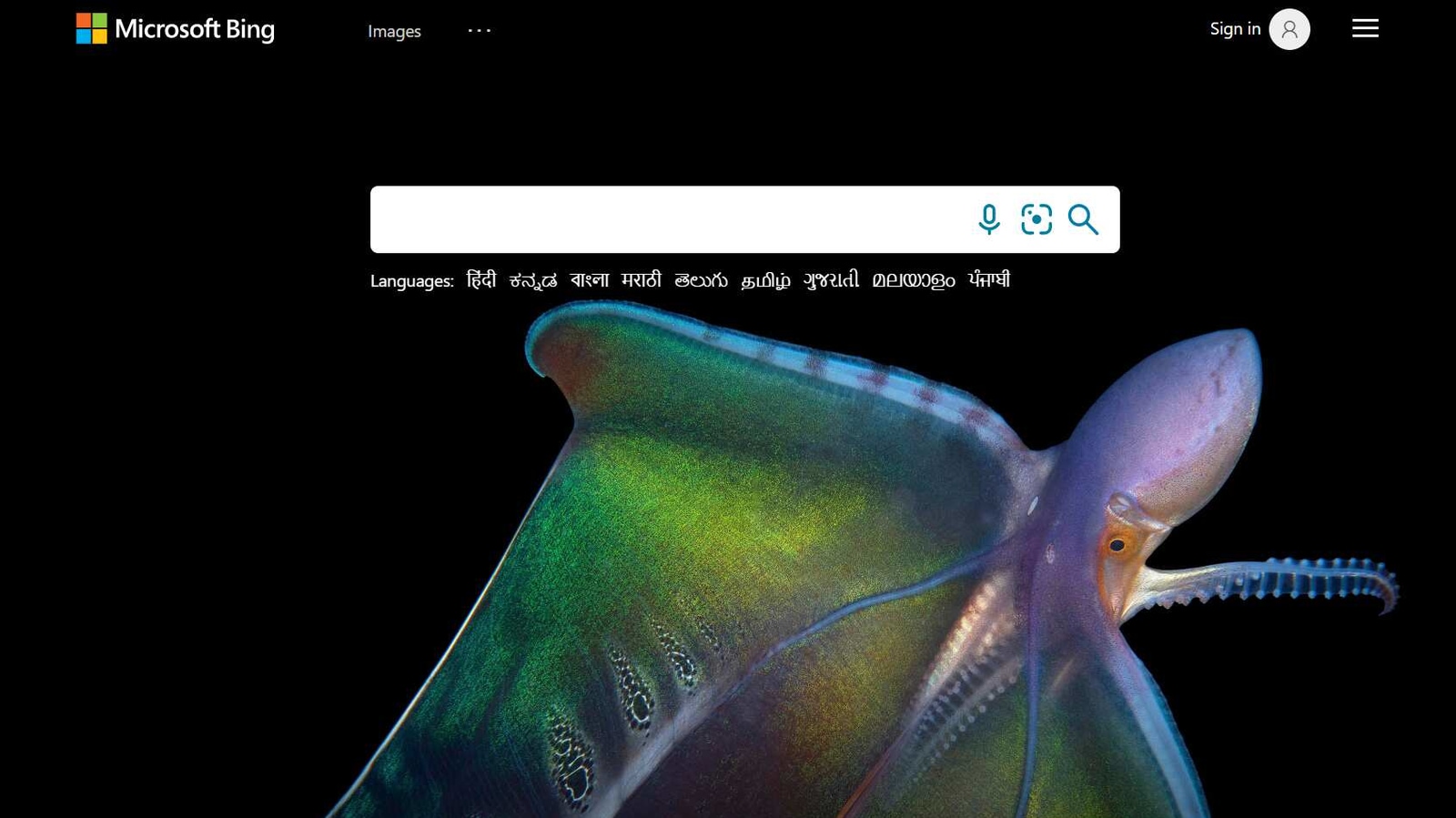 Bing Search Engine Bing Search Engine