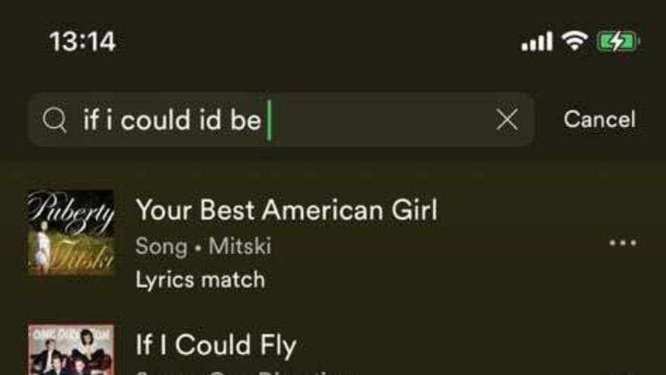 All you need to do is type in the lyrics you remember into Spotify’s search bar and the app will pull up the songs that match.
