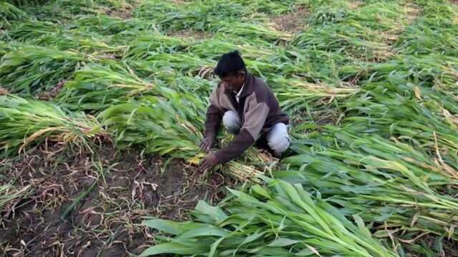 Potato farmer Rakesh Singh in Uttar Pradesh said he is keen to get computer-enhanced tools to help his business in India's most populous state.