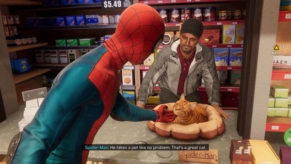 Spider-Man petting Spider-Cat
