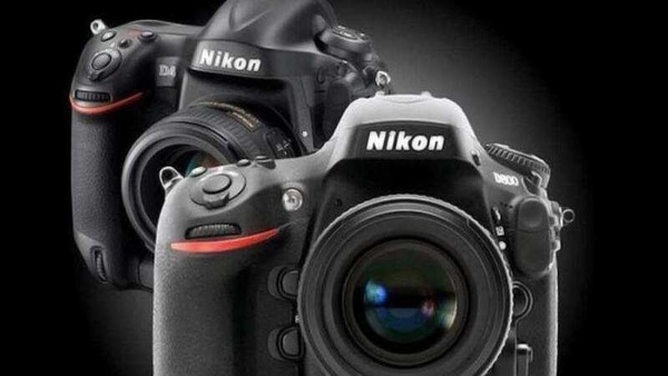 Given its losses for the last two quarters, Nikon is considering cutting its sales force. 