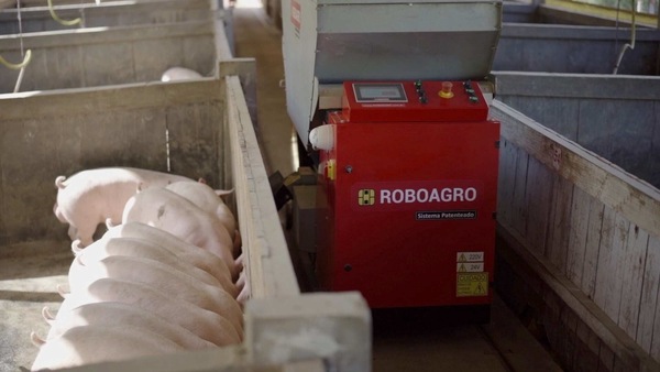A Roboagro robot feeds pigs while playing classical music on a farm in Brazil. 