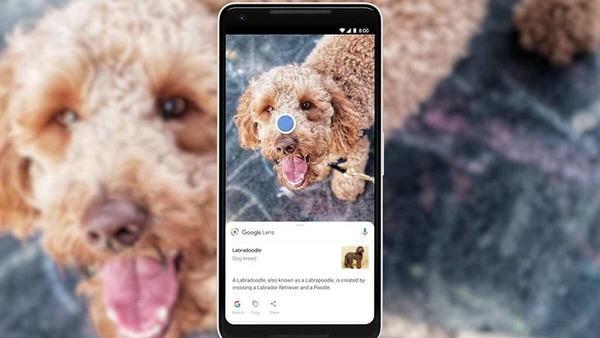 Google Lens does not come pre-installed on devices to most of the people downloading it are those actively doing it from the Play Store.