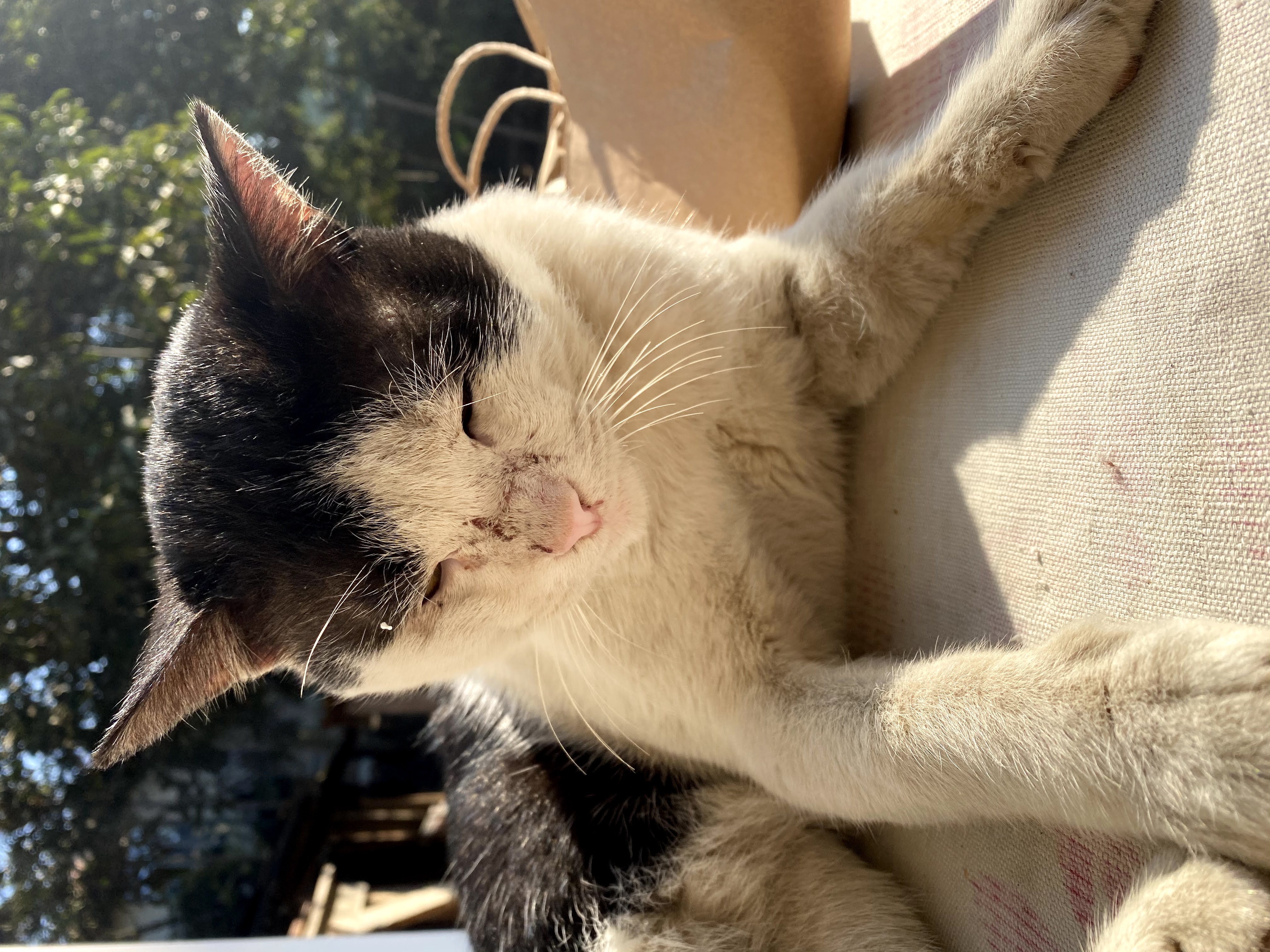 Oppo Reno 5 Pro 5G camera sample Oppo Reno 5 Pro 5G camera sample