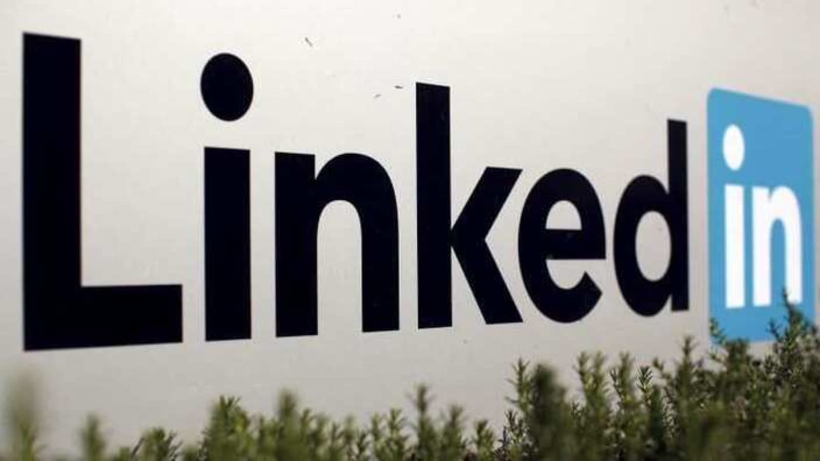 LinkedIn year-end report