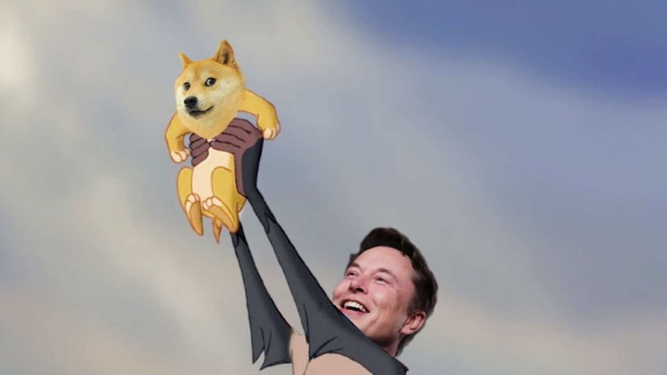 Dogecoin y elon