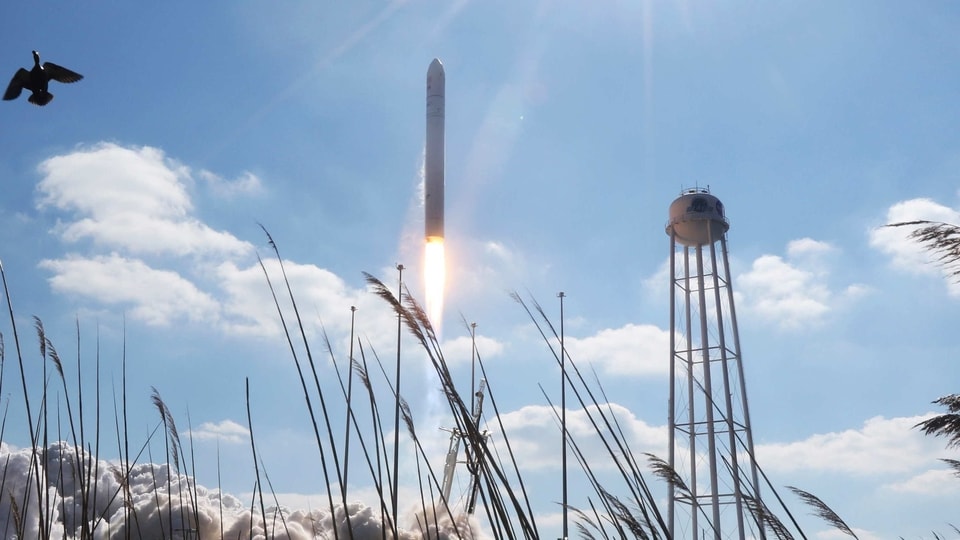 A goose is startled as Northup Grumman's Antares rocket lifts off the launch pad at NASA's Wallops Island flight facility in Wallops Island, Va., Saturday, Feb. 20, 2021. The rocket is delivering cargo to the International Space Station. (AP Photo/Steve Helber)
