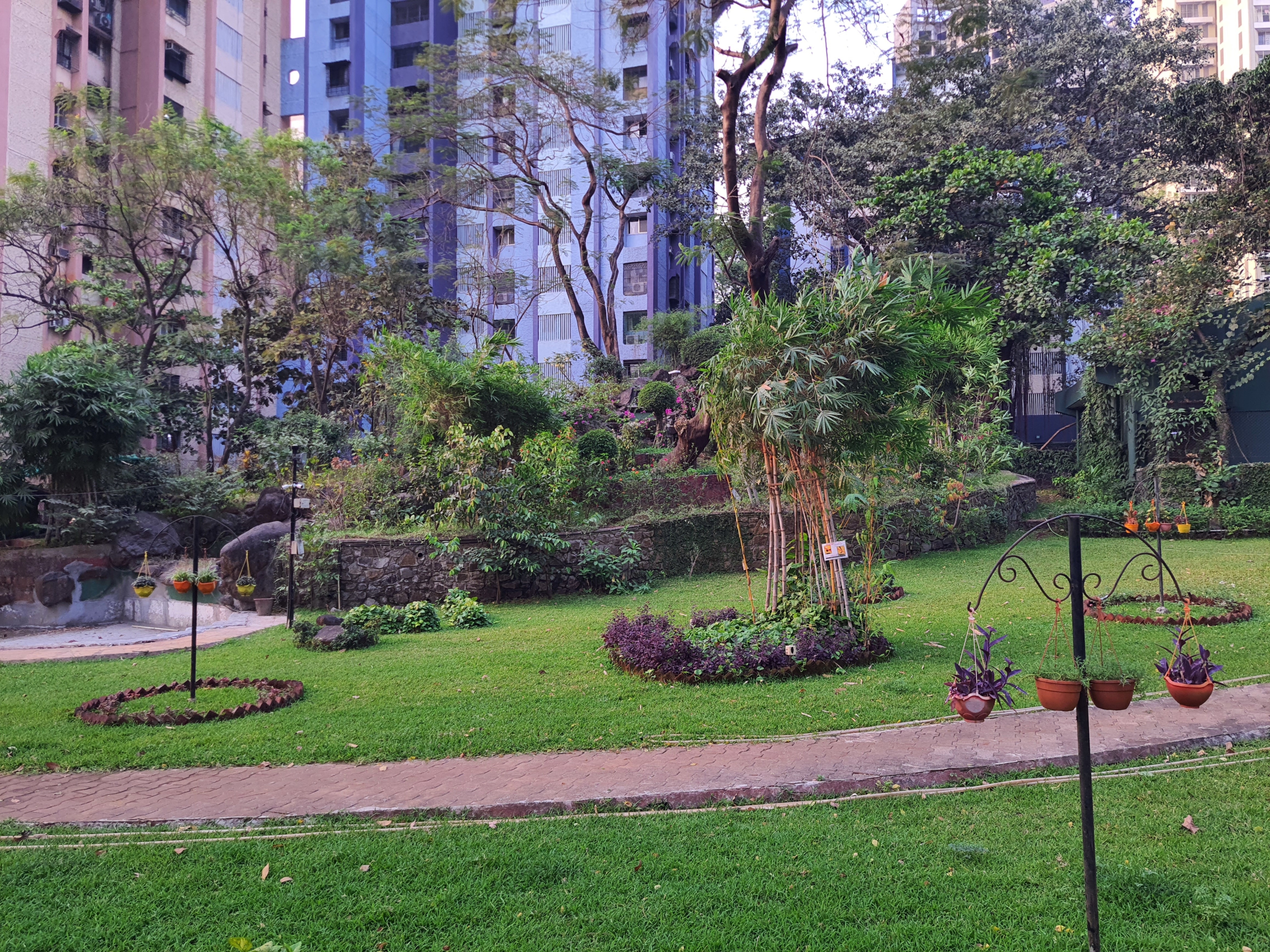 The primary camera on the Galaxy F62 takes crisp photos. The primary camera on the Galaxy F62 takes crisp photos.