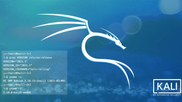Kali Linux 2021.1 is now available for download.
