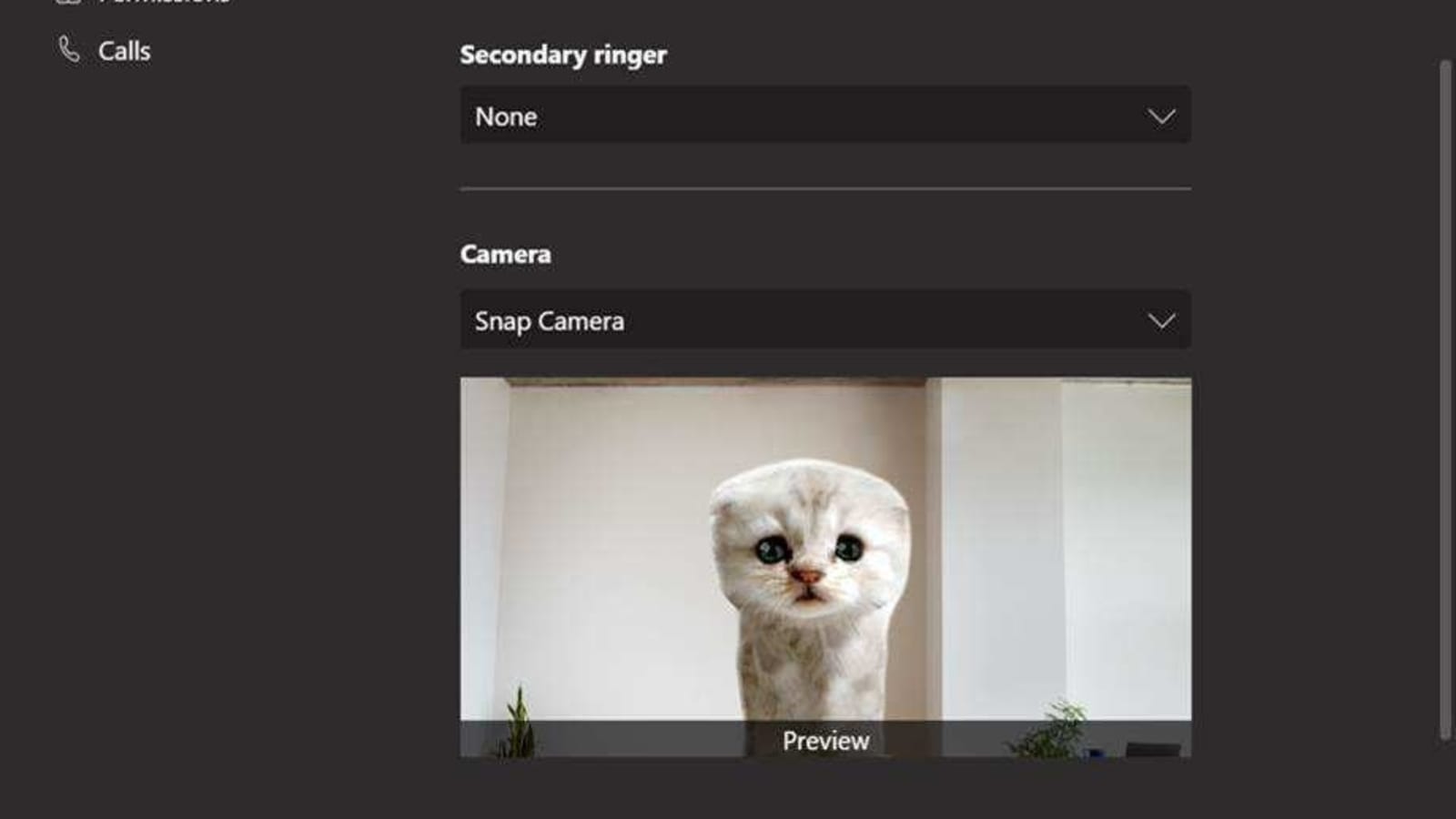 Attend Your Next Microsoft Teams Call As A Cat Because Why Not Ht Tech
