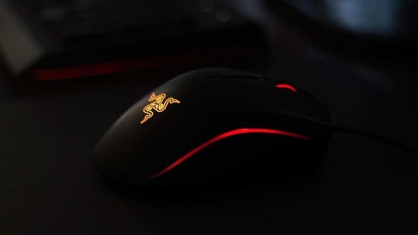 Most of Razer’s income comes from hardware.