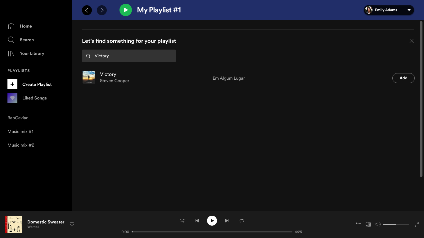 spotify pc offline