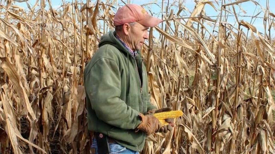 FILE PHOTO: Corn and soybean farmer Don Swanson prepares to harvest his corn crop in Eldon, Iowa US. October 4, 2019.