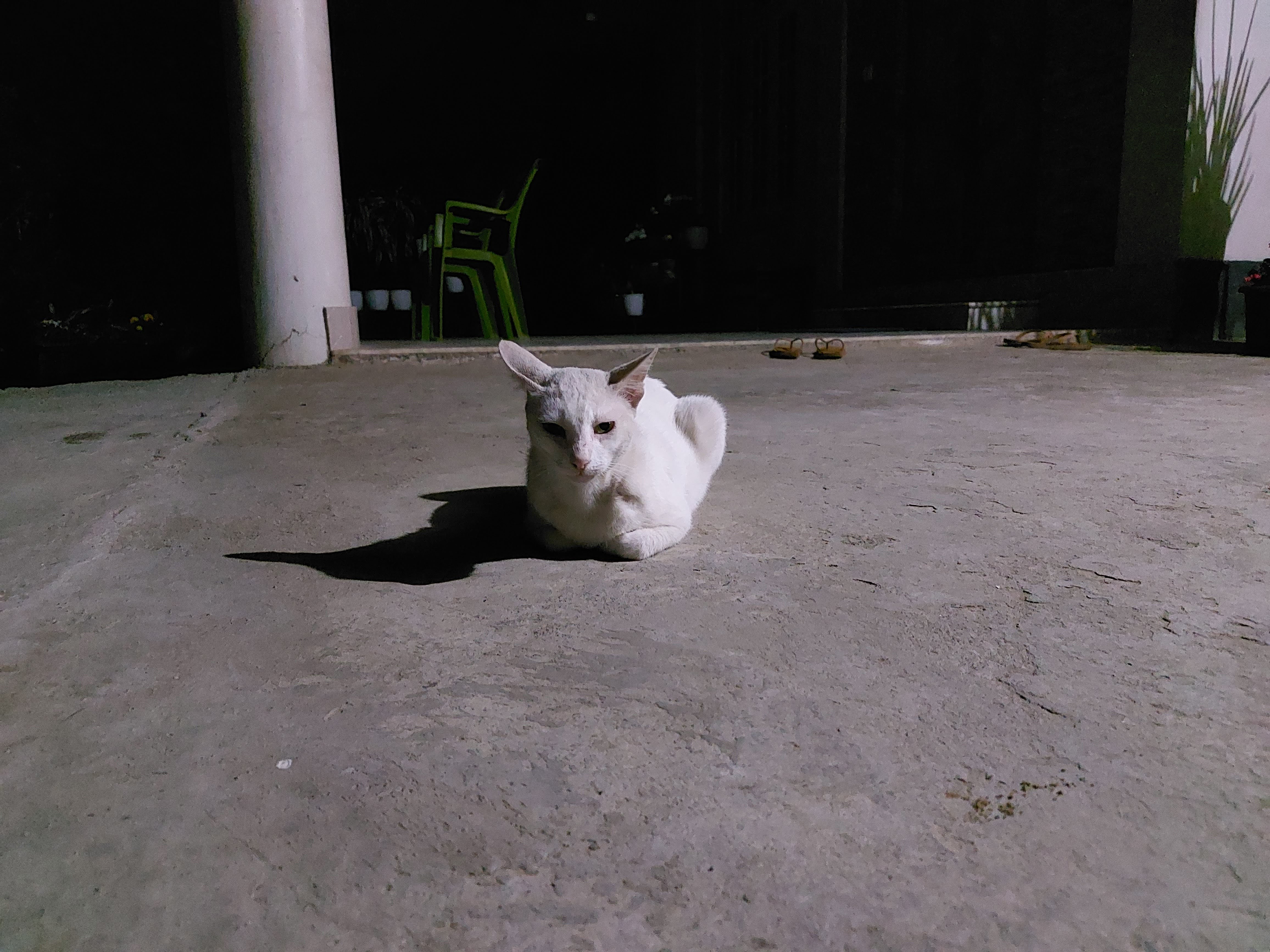 Samsung Galaxy A52 camera sample