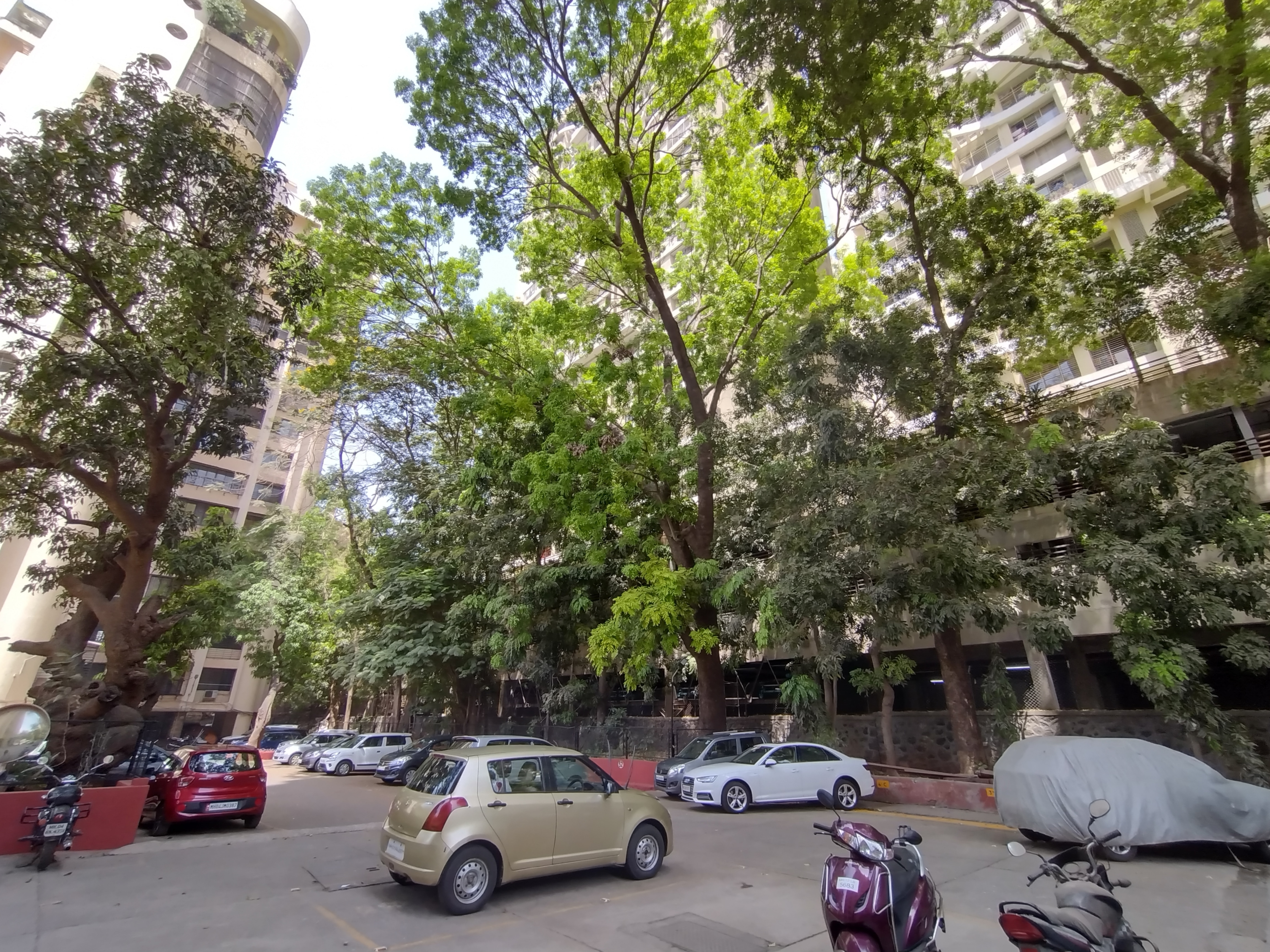 The wide angle lens takes decent images, without much warping at the edges. The wide angle lens takes decent images, without much warping at the edges.