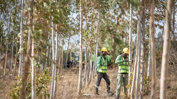 While Apple plans to directly eliminate 75% of emissions for its supply chain and products by 2030, this restore fund will help address the remaining 25% by removing carbon from the atmosphere through these forests. 