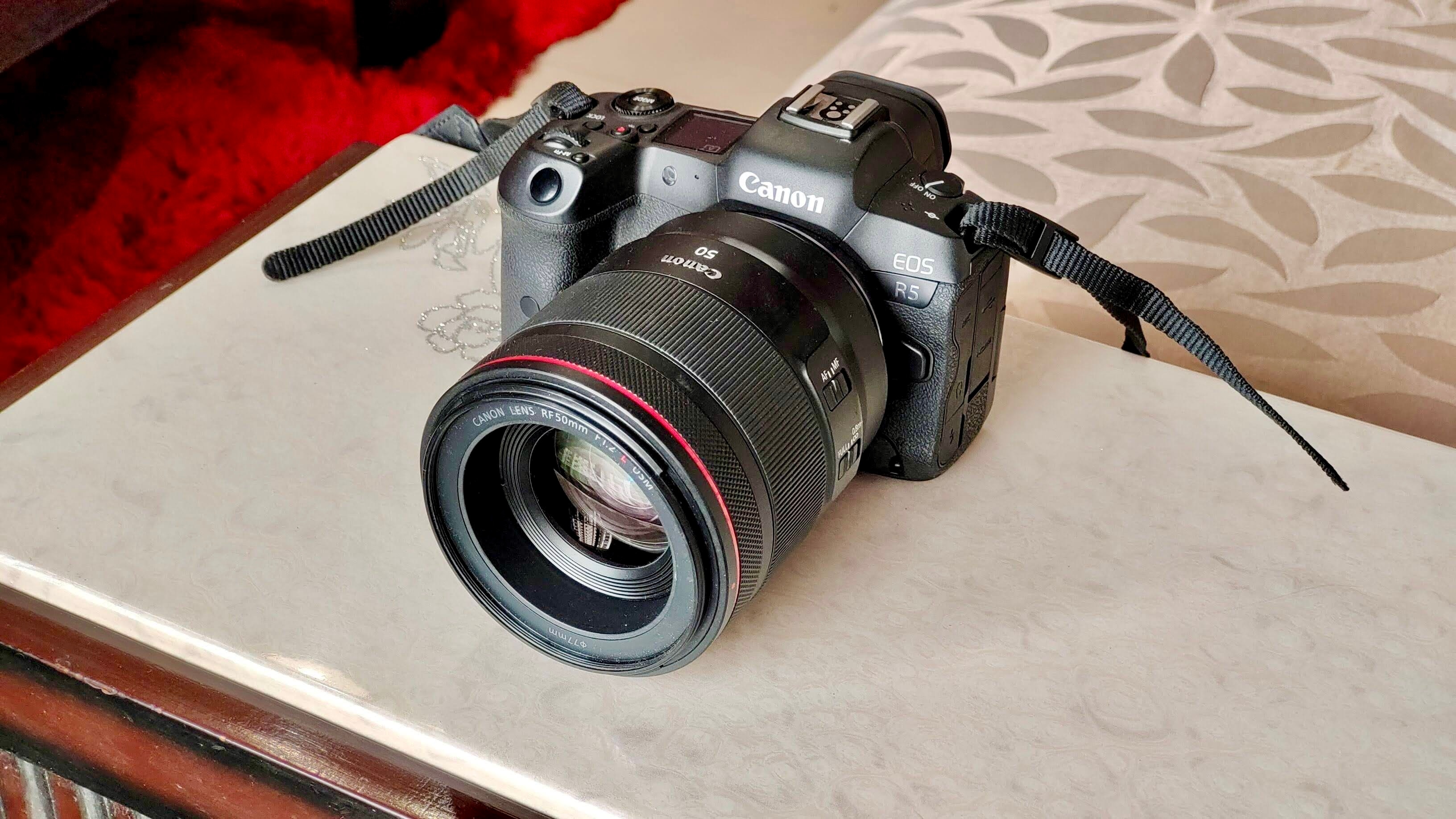 Canon EOS R5 was launched in India last year at <span class='webrupee'>₹</span>3,39,995 (body only). Canon EOS R5 was launched in India last year at <span class='webrupee'>₹</span>3,39,995 (body only).